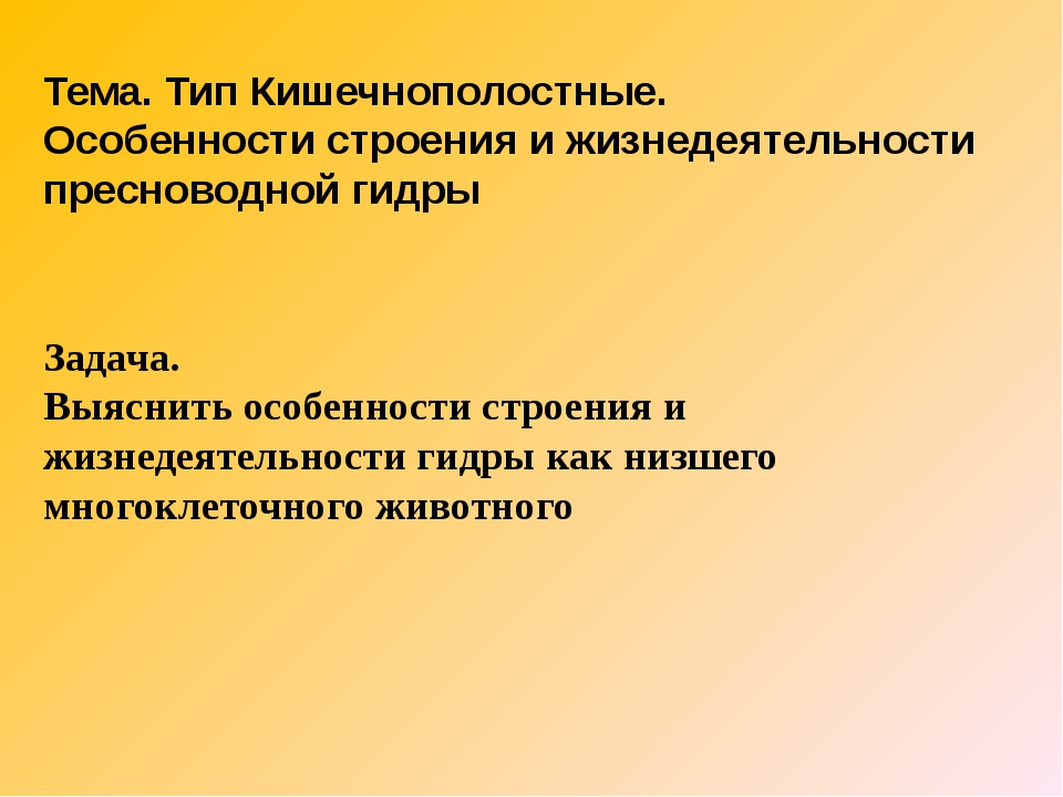 Кракен 20 at
