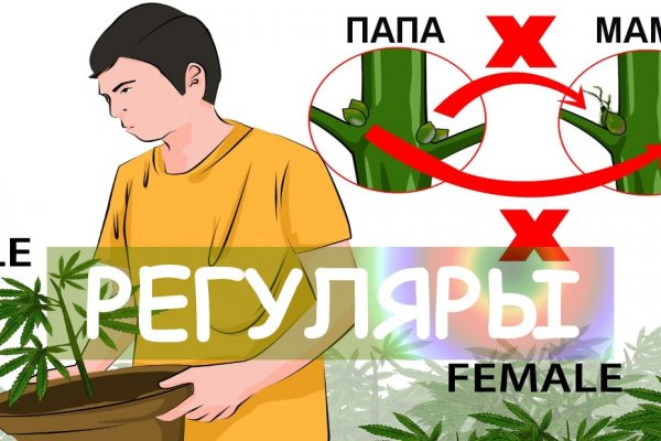 Kraken darknet market зеркало